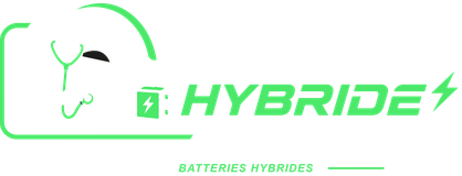 Docteur Hybride